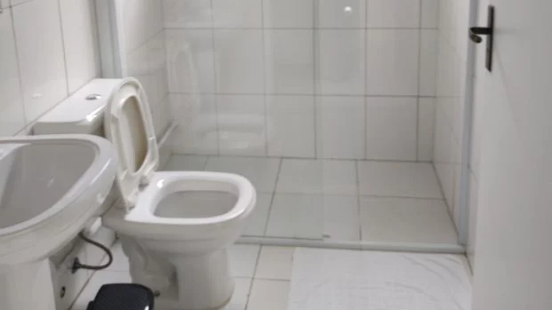 Quarto standard