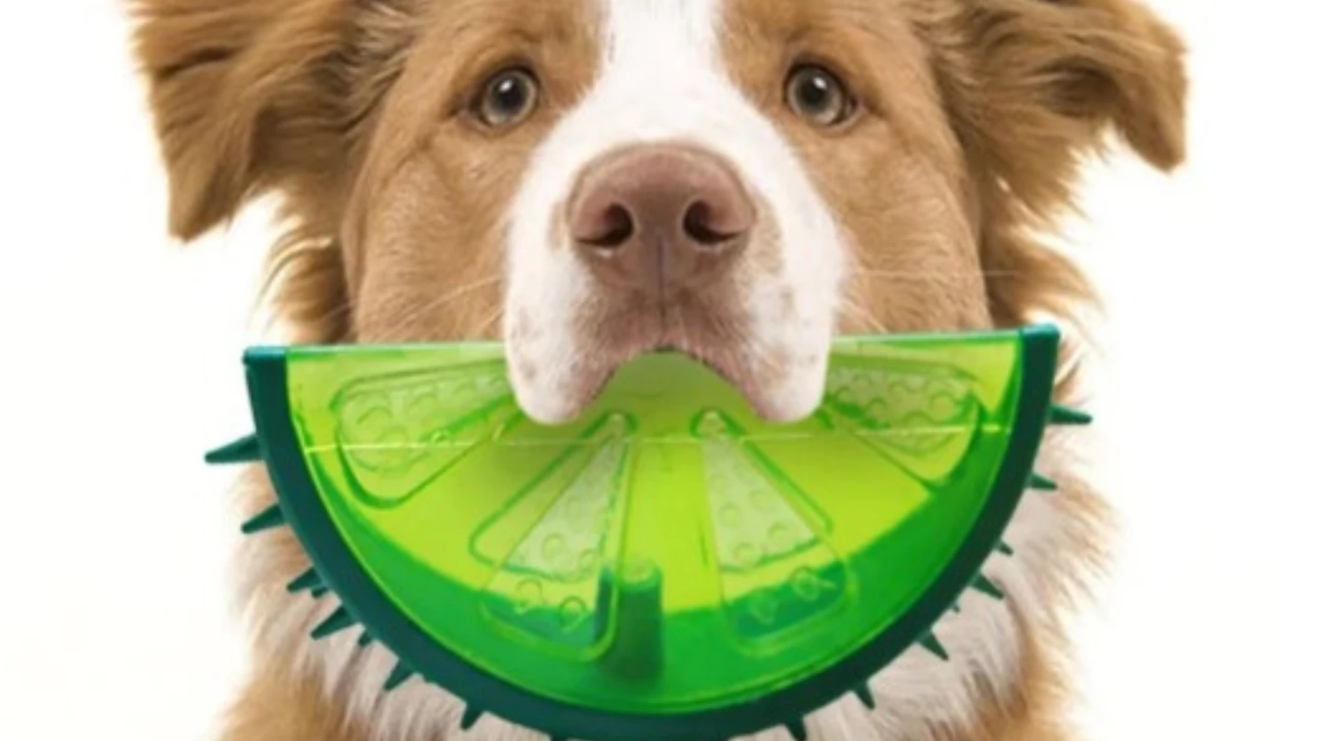 Brinquedo Gelado Frutas