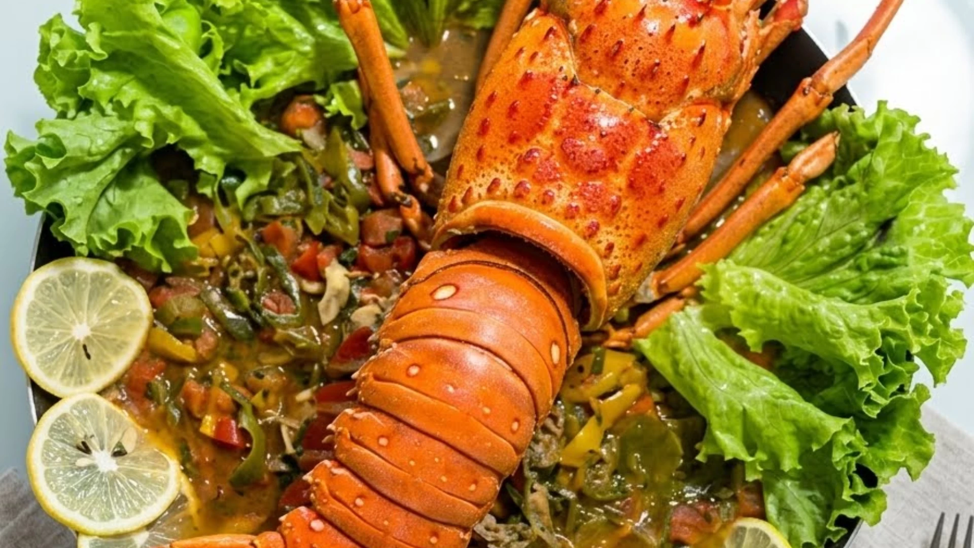 Tudoem Ilhabela