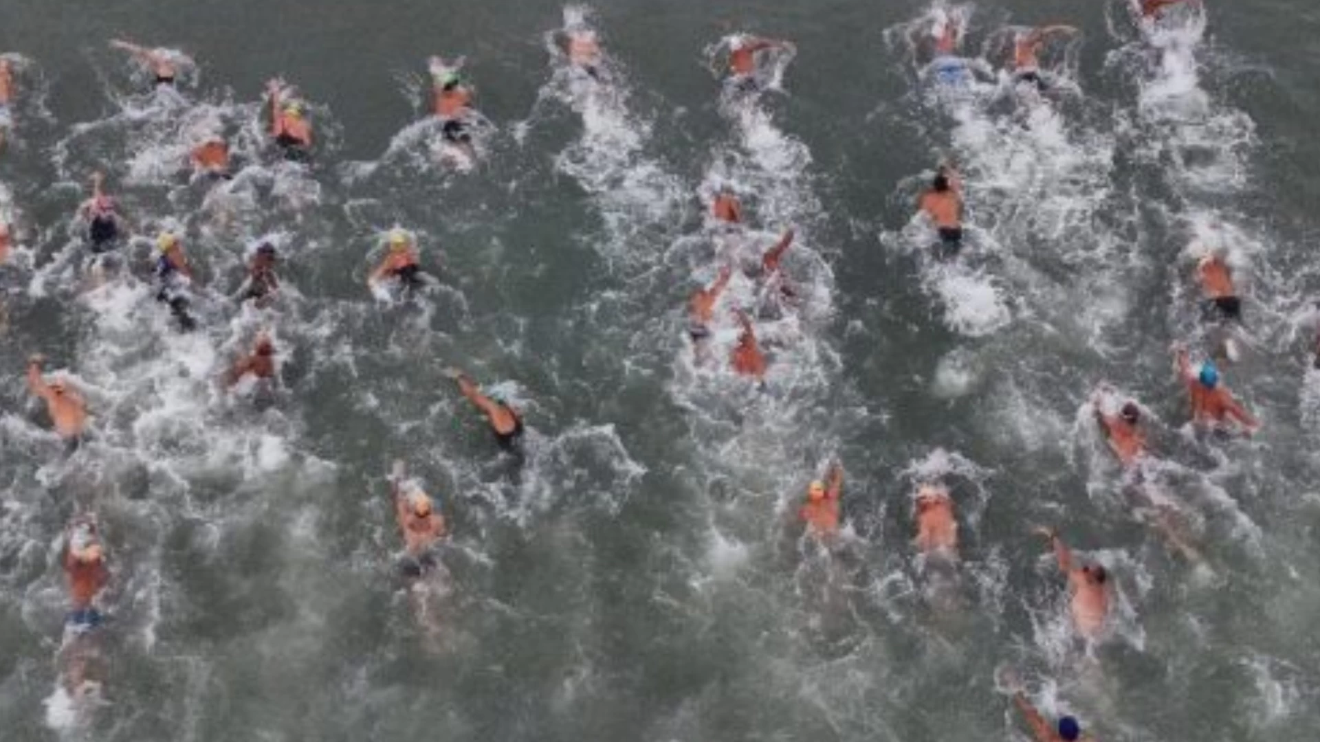  Campeonato Paulista de Águas Abertas 